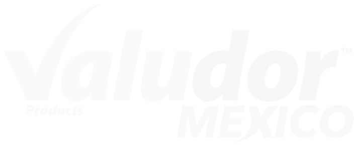 Valudor Mexico Logo White